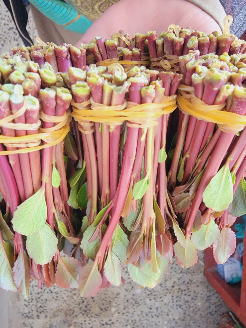 قات الحارثي